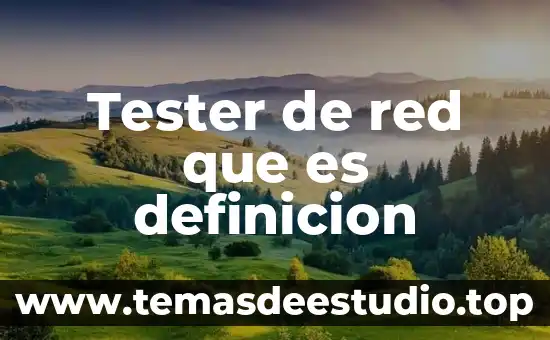 Que es nombre de red viera 3 Tester de red que es definicion