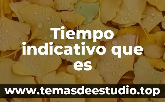 Que es una linea del tiempo significado 6 Tiempo indicativo que es