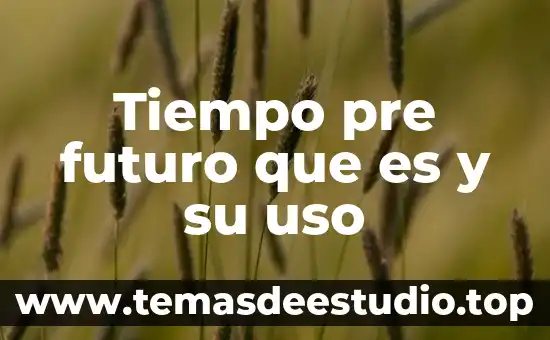 Que es un tiempo flotante y regular en tiempos compartidos 5 Tiempo pre futuro que es y su uso