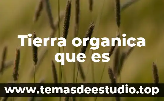 Tierra organica que es