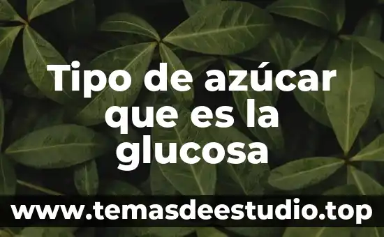 Tipo de azúcar que es la glucosa