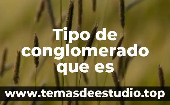Tipo de medicamento que es micardis plus 8 Tipo de conglomerado que es