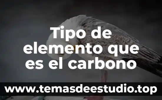 Catsup que es elemento compuesto o mezcla 3 Tipo de elemento que es el carbono
