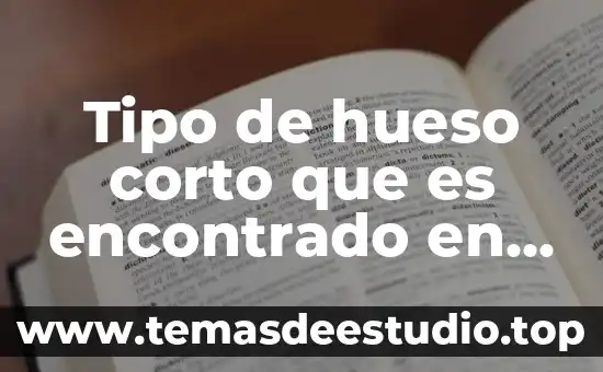 Que es una sustancia compuesto tipo elemental ejemplos 4 Tipo de hueso corto que es encontrado en relacion