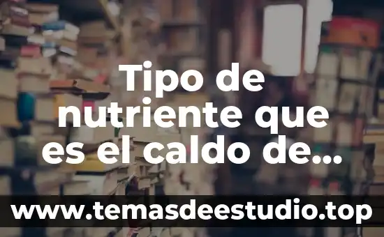 Que es el tipo de arte 3 Tipo de nutriente que es el caldo de pollo