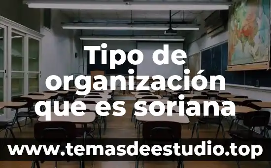 Que es un mapa tipo sol 6 Tipo de organización que es soriana