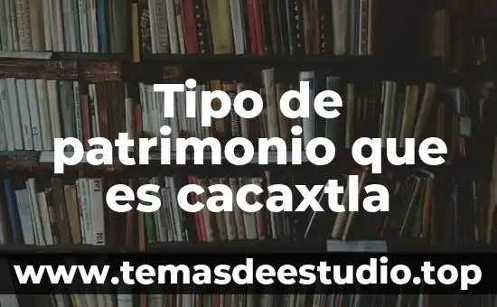 Tipo de patrimonio que es cacaxtla