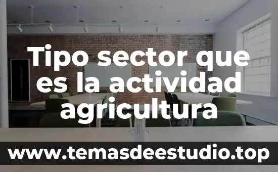 Que es el tipo de conocimiento axiomatico 7 Tipo sector que es la actividad agricultura
