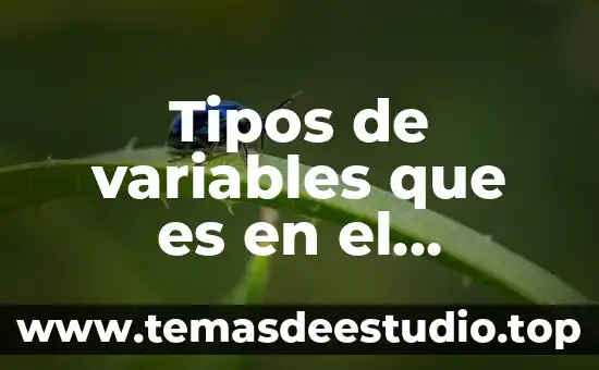 Que es el inbound marketing hubspot 5 Tipos de variables que es en el marketing digital