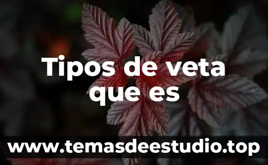 Que es el movimiento y tipos de movimiento 8 Tipos de veta que es
