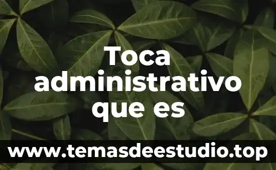 2CO2 que es 5 Toca administrativo que es