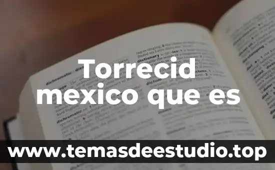 Torrecid mexico que es
