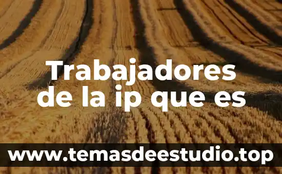 Que es expedientes de trabajadores 7 Trabajadores de la ip que es