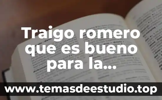 Que es bueno para la picazón en el cuero cabelludo 8 Traigo romero que es bueno para la memoria