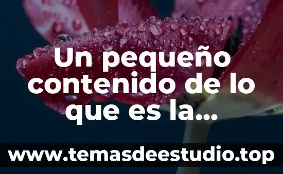 Que es el espacio pequeño 6 Un pequeño contenido de lo que es la publicidad