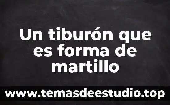 Que es un acorde y como se forma 3 Un tiburón que es forma de martillo