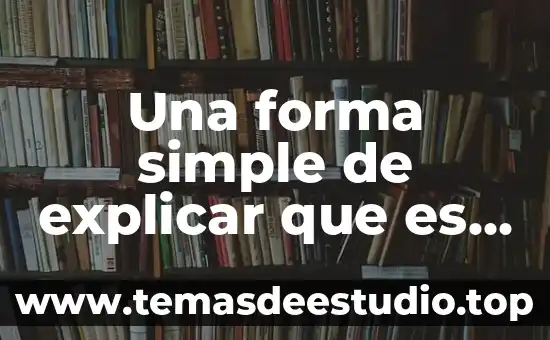 Una forma simple de explicar que es el sustantivo