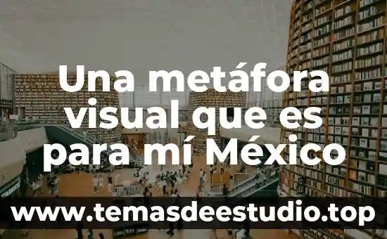 Motricidad visual niños que es 5 Una metáfora visual que es para mí México