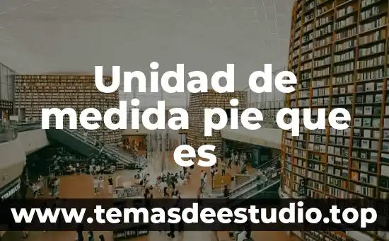 Unidad de medida pie que es