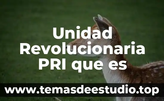 Que es ser sujeto politico 3 Unidad Revolucionaria PRI que es