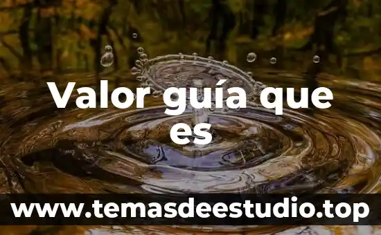 Qué es una guía rápida concepto 7 Valor guía que es