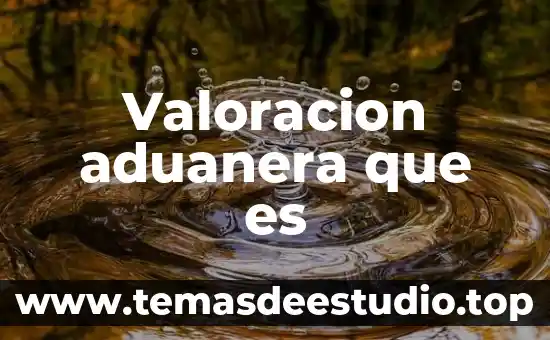 Valoracion aduanera que es