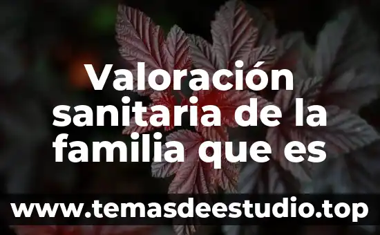 Que es una sociedad por capital 8 Valoración sanitaria de la familia que es