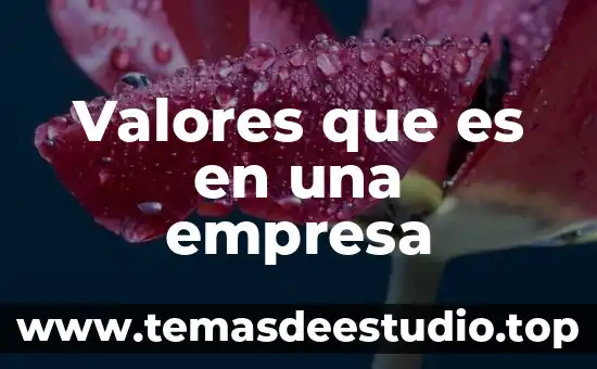 Actitudes y valores que es 7 Valores que es en una empresa