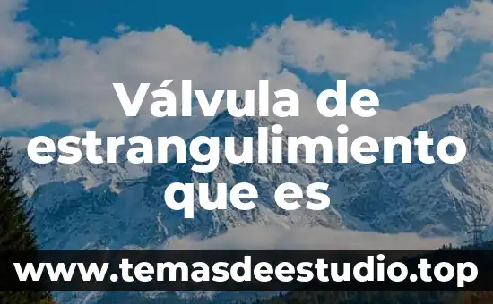 Qué es y cómo funcionan los afores 6 Válvula de estrangulimiento que es