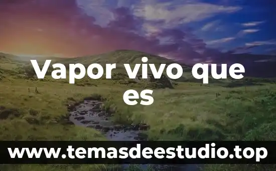 Altica que es 8 Vapor vivo que es