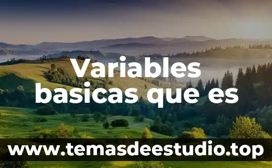 Variables basicas que es