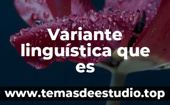 Variante linguística que es