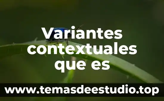 Ameretto que es 5 Variantes contextuales que es