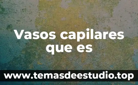 Que es gestion hospitalaria concepto 8 Vasos capilares que es