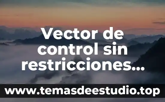 Que es vector compuesto yahoo 6 Vector de control sin restricciones que es