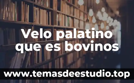 Velo palatino que es bovinos