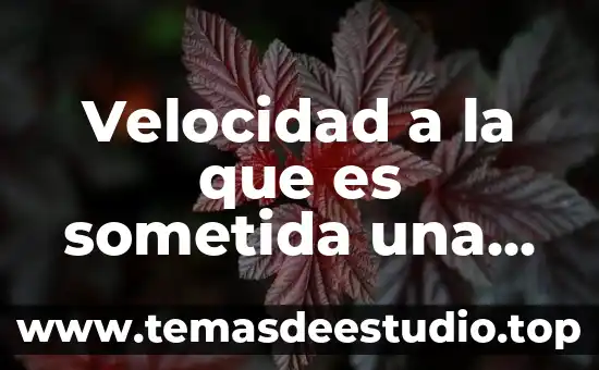 Qué es el proceso de recocido aluminio 8 Velocidad a la que es sometida una probeta de aluminio