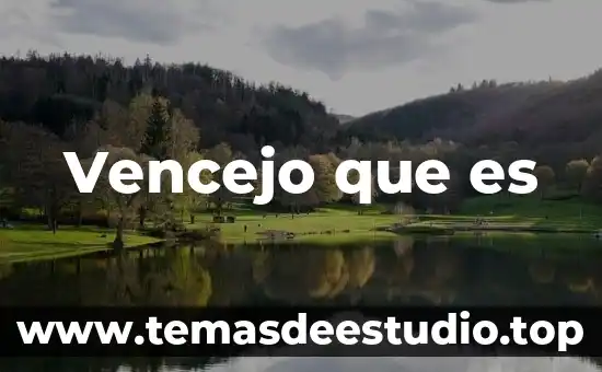Que es la unidad de arte o unidad de invención 5 Vencejo que es