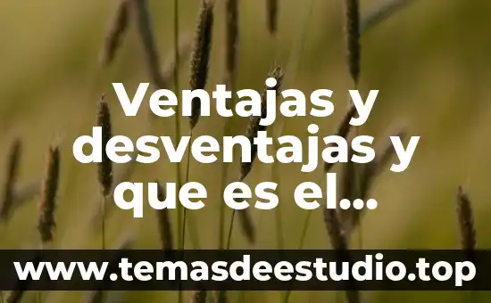 Ventajas y desventajas y que es el ejercisio