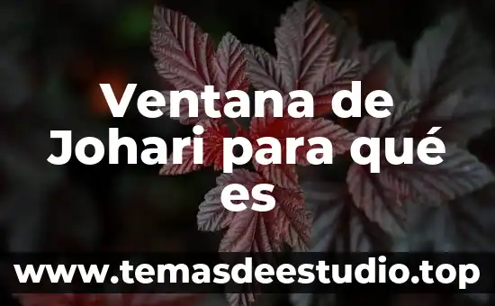 Que es Word y las partes de la ventana 8 Ventana de Johari para qué es
