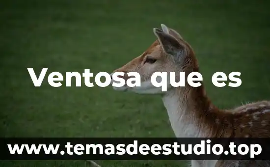 Ventosa que es