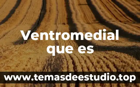 Qué es venta o traspaso de un negocio 4 Ventromedial que es