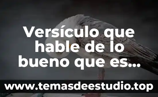 Que es ser una persona jactancioso 6 Versículo que hable de lo bueno que es dios