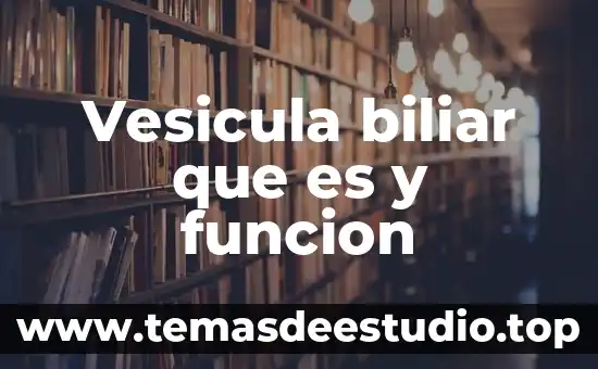 Qué es el humor vítreo función 5 Vesicula biliar que es y funcion