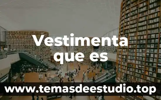 Vestimenta que es