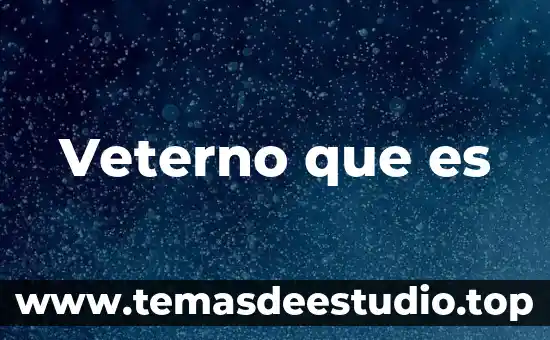 Que es un movimiento en transito 3 Veterno que es