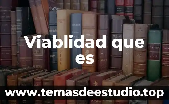 Viablidad que es