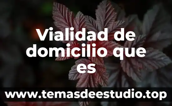 Significado de domicilio catastral que es 7 Vialidad de domicilio que es
