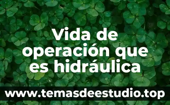 Qué es cancelación y desmantelamiento de una salida hidráulica 4 Vida de operación que es hidráulica