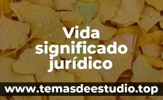 Que es el significado opinion conceptos 6 Vida significado jurídico